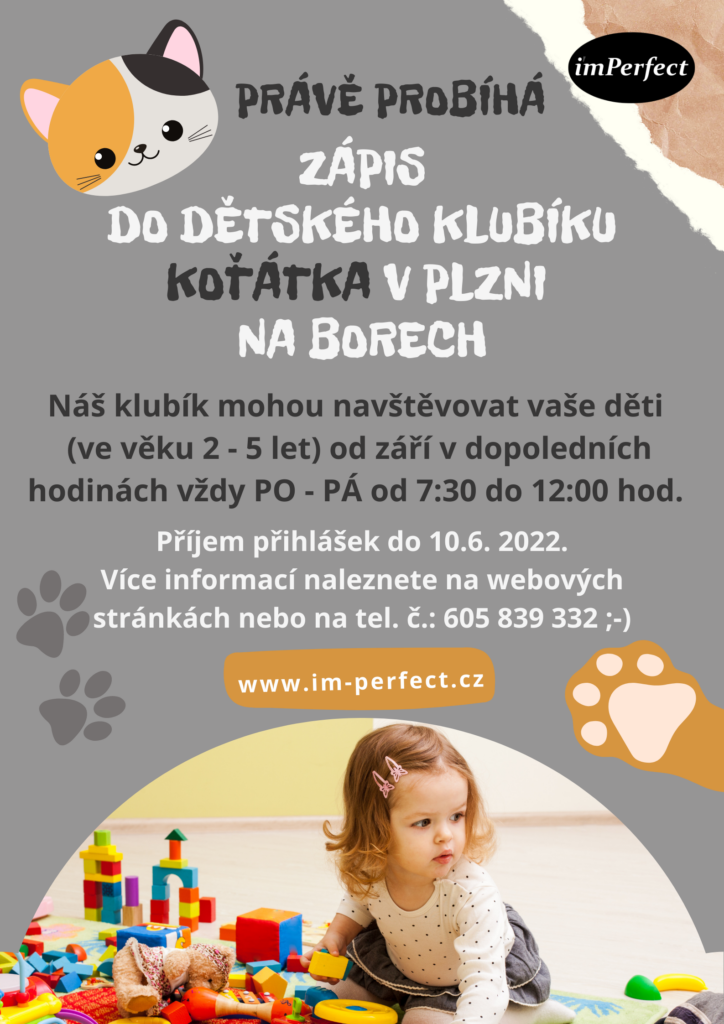 Koťátka Plzeň